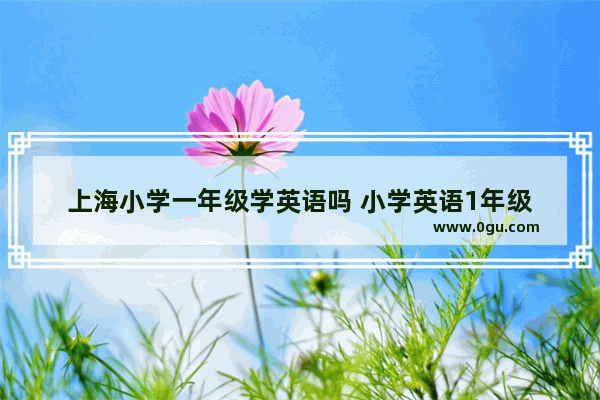 上海小学一年级学英语吗 小学英语1年级