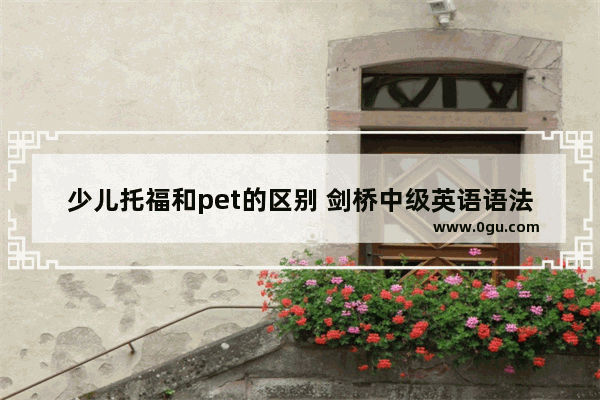 少儿托福和pet的区别 剑桥中级英语语法 pet