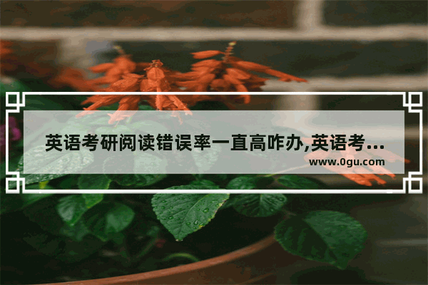 英语考研阅读错误率一直高咋办,英语考研阅读