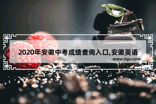 2020年安徽中考成绩查询入口,安徽英语四级查分