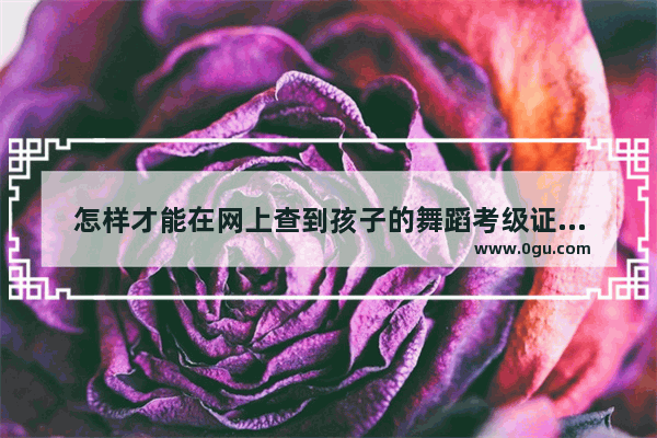 怎样才能在网上查到孩子的舞蹈考级证书是真,怎样查询英语六级证书