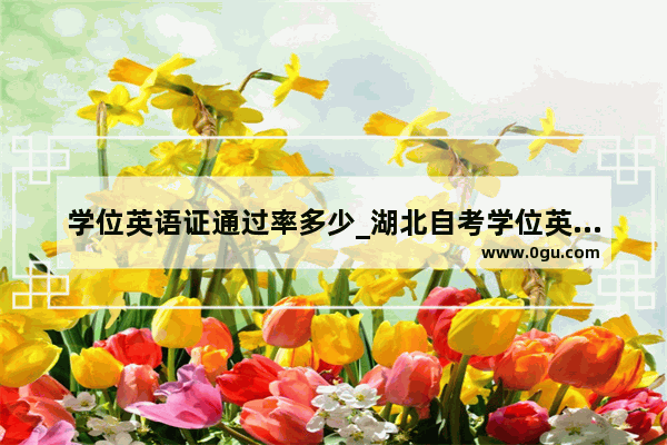 学位英语证通过率多少_湖北自考学位英语一年几次