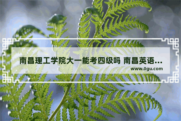 南昌理工学院大一能考四级吗 南昌英语四级班