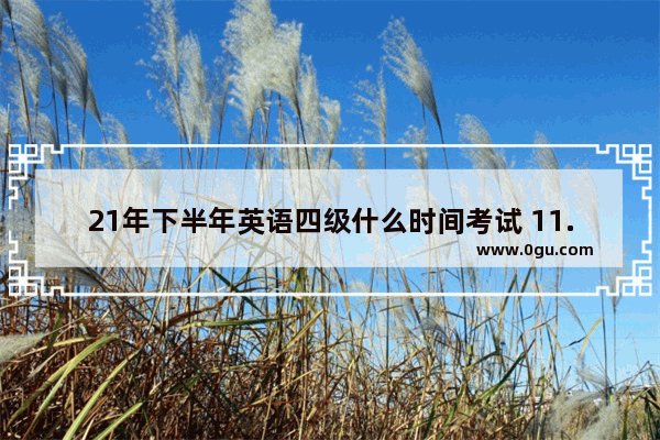 21年下半年英语四级什么时间考试 11.4英语四级