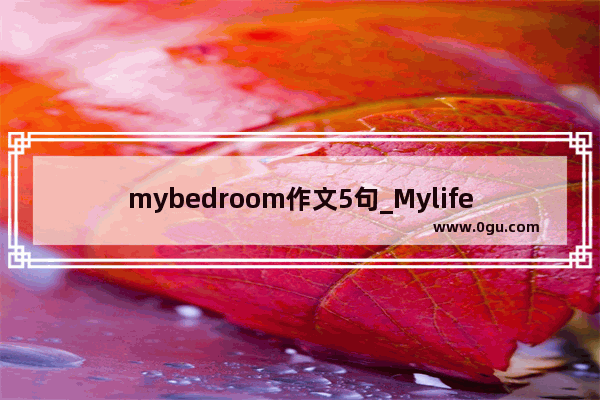 mybedroom作文5句_Mylifeinmybedroom的英语作文