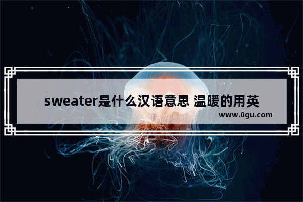 sweater是什么汉语意思 温暖的用英语怎么说