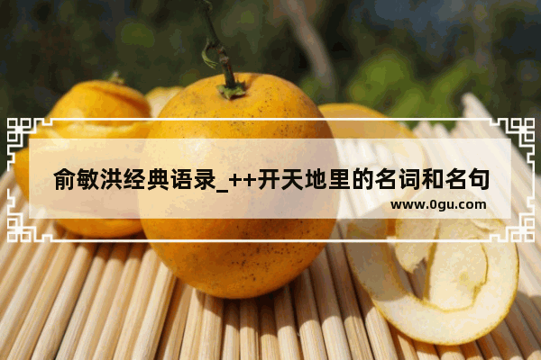 俞敏洪经典语录_++开天地里的名词和名句是什么