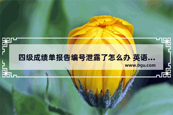 四级成绩单报告编号泄露了怎么办 英语四级泄漏