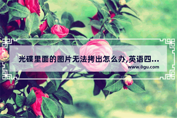 光碟里面的图片无法拷出怎么办,英语四级光盘