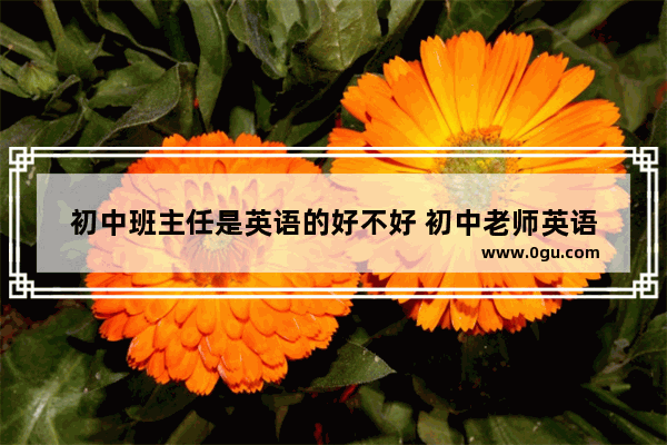 初中班主任是英语的好不好 初中老师英语