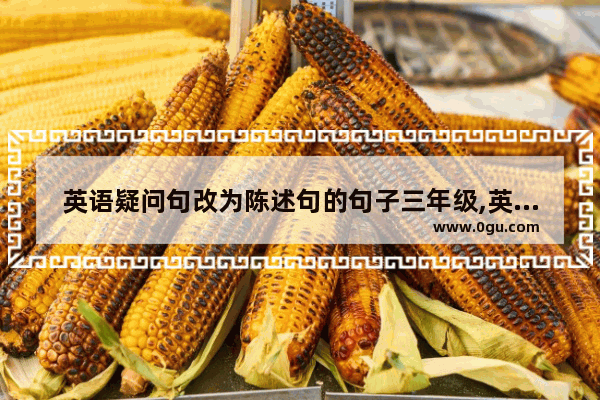 英语疑问句改为陈述句的句子三年级,英语语法陈述句02
