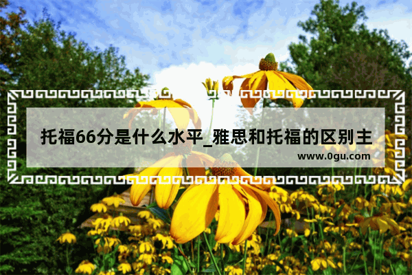 托福66分是什么水平_雅思和托福的区别主要有哪些