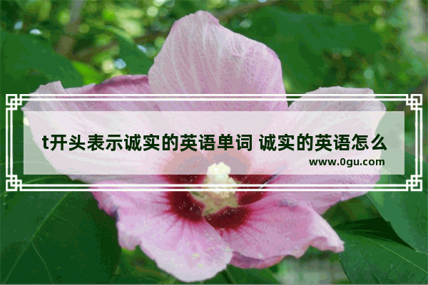 t开头表示诚实的英语单词 诚实的英语怎么说