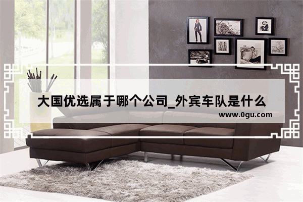 大国优选属于哪个公司_外宾车队是什么