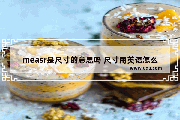 measr是尺寸的意思吗 尺寸用英语怎么说