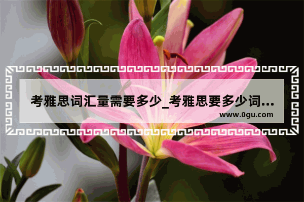 考雅思词汇量需要多少_考雅思要多少词汇量