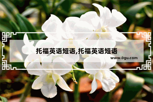 托福英语短语,托福英语短语