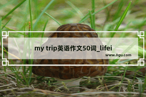 my trip英语作文50词_lifein2050英语作文50单词