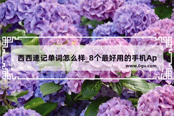 西西速记单词怎么样_8个最好用的手机App有哪些推荐？绝对不套路