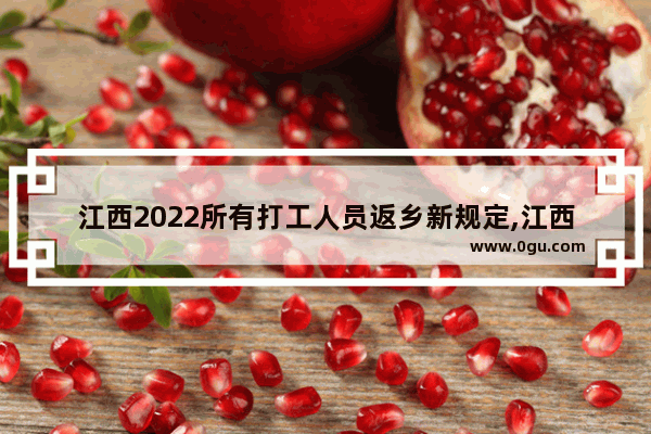 江西2022所有打工人员返乡新规定,江西英语六级2022查分