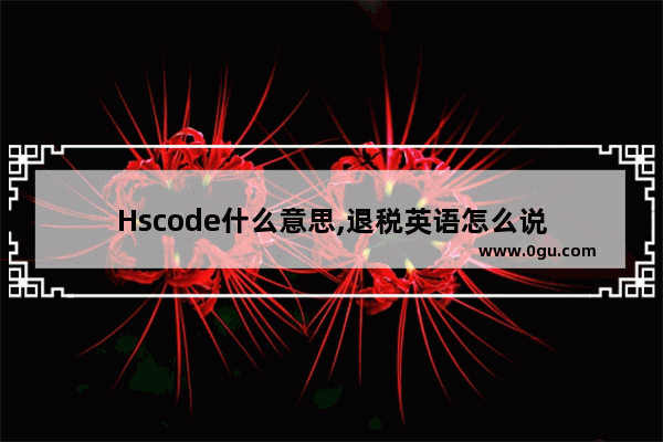 Hscode什么意思,退税英语怎么说