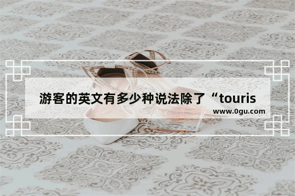 游客的英文有多少种说法除了“tourist” 游客的英语怎么说
