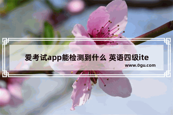 爱考试app能检测到什么 英语四级itest