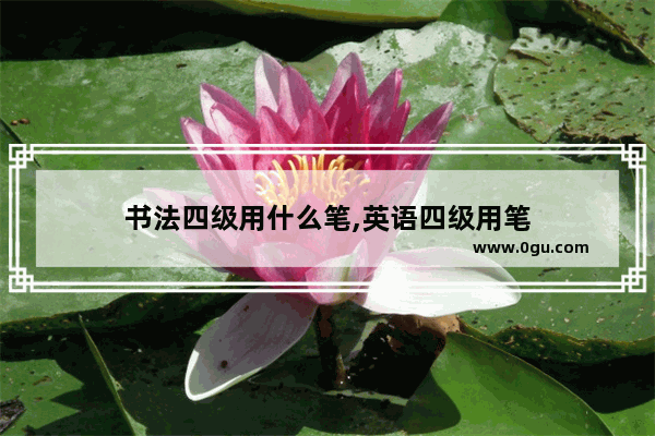 书法四级用什么笔,英语四级用笔