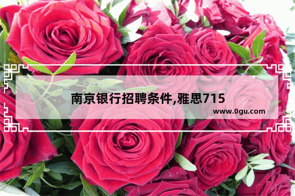 南京银行招聘条件,雅思715