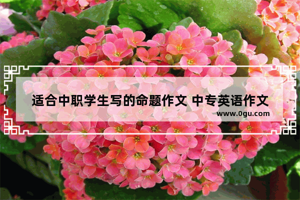 适合中职学生写的命题作文 中专英语作文