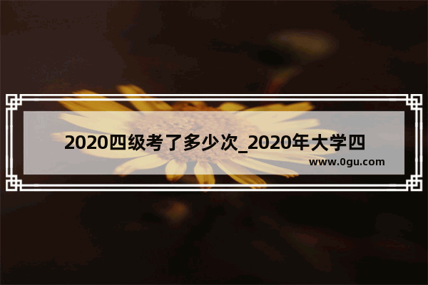 2020四级考了多少次_2020年大学四级的通过率是多少