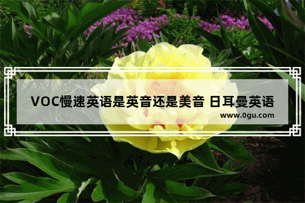 VOC慢速英语是英音还是美音 日耳曼英语听力