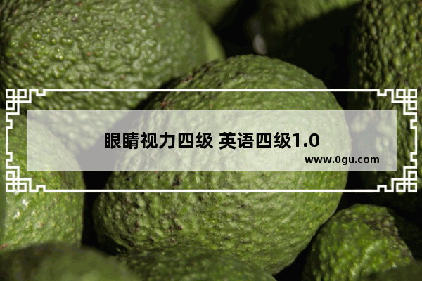 眼睛视力四级 英语四级1.0
