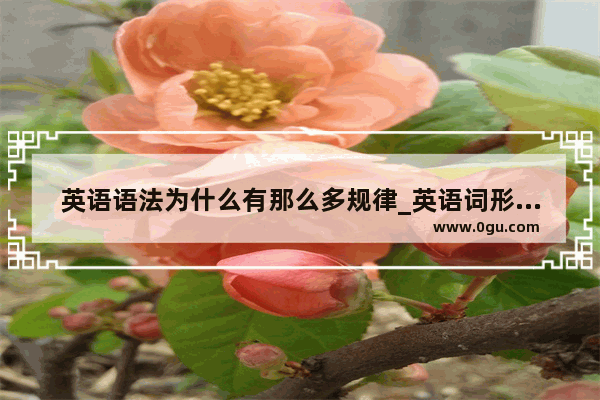 英语语法为什么有那么多规律_英语词形变换规律口诀