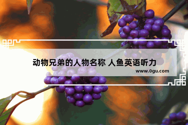 动物兄弟的人物名称 人鱼英语听力