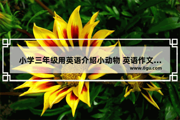 小学三年级用英语介绍小动物 英语作文动物小学