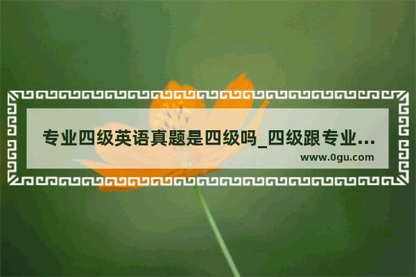 专业四级英语真题是四级吗_四级跟专业四级的区别