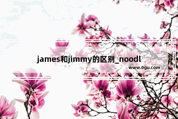 james和jimmy的区别_noodle有粉丝的意思吗