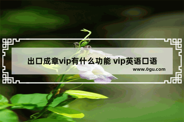 出口成章vip有什么功能 vip英语口语