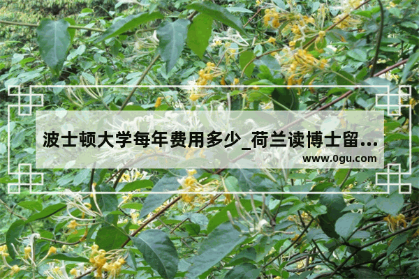 波士顿大学每年费用多少_荷兰读博士留学条件和费用