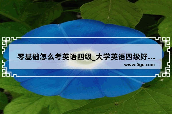 零基础怎么考英语四级_大学英语四级好过吗？怎样容易过