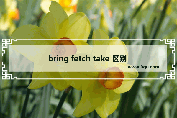 bring fetch take 区别 搬运英语怎么说