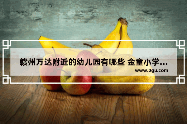 赣州万达附近的幼儿园有哪些 金童小学英语