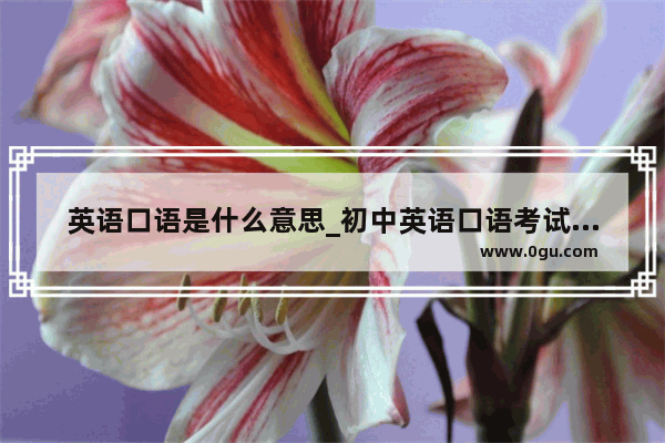 英语口语是什么意思_初中英语口语考试内容是什么