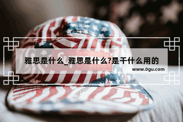 雅思是什么_雅思是什么?是干什么用的