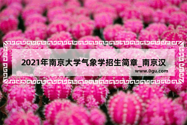 2021年南京大学气象学招生简章_南京汉口路小学英语