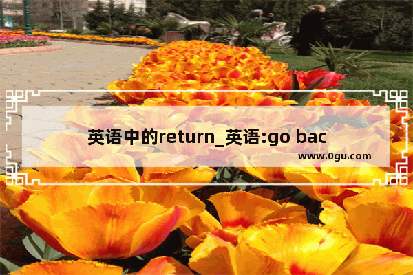 英语中的return_英语:go back和return有什么区别
