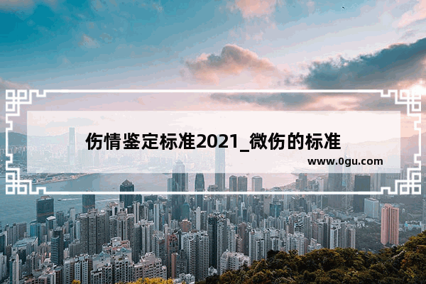伤情鉴定标准2021_微伤的标准