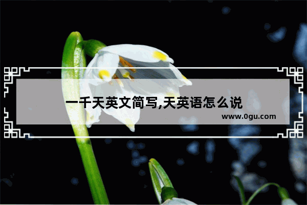一千天英文简写,天英语怎么说