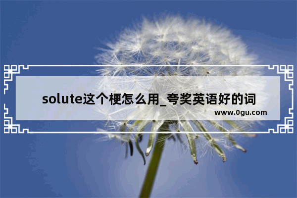 solute这个梗怎么用_夸奖英语好的词